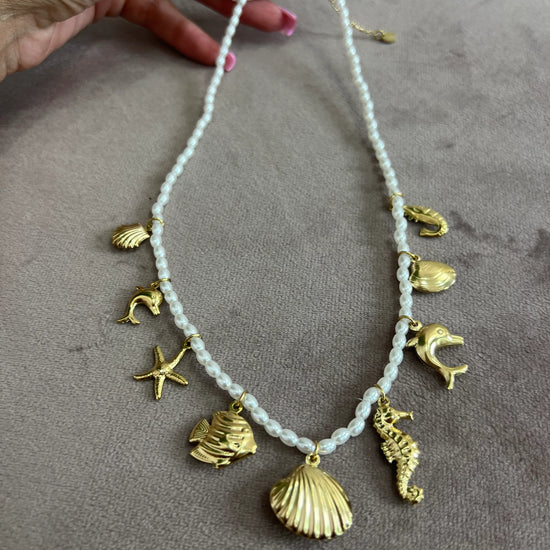 Z03 - Collezione inverno 2025 | MacrìBoutique