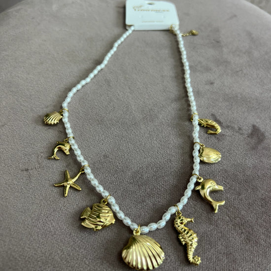 Z03 - Collezione inverno 2025 | MacrìBoutique