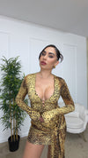 Dress Ilary